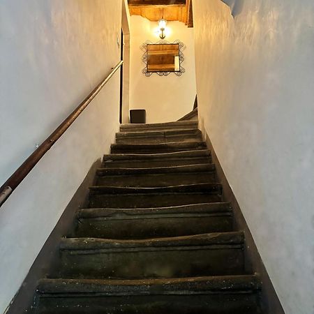 Navona Fox House Daire Roma Dış mekan fotoğraf